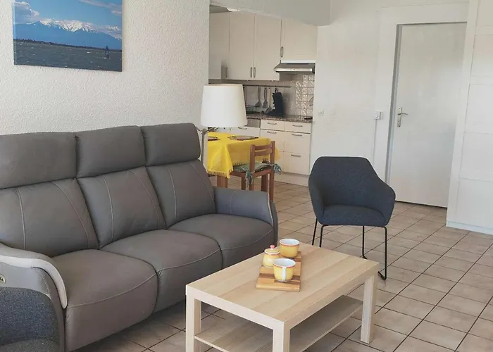 Appt 3 Pieces Climatise Avec Wifi Et Parking, Adapte Pmr - Fr-1-195-124 Le Barcarès